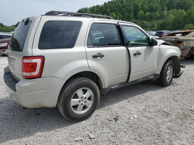 2009 Ford Escape XLT