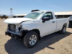 Salvage cars for sale at Phoenix, AZ auction: 2023 Chevrolet Silverado C1500