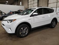 Salvage cars for sale from Copart Blaine, MN: 2016 Toyota Rav4 HV XLE