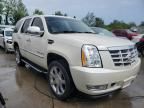 2008 Cadillac Escalade Luxury