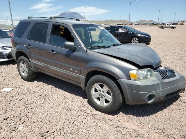 2005 Ford Escape HEV