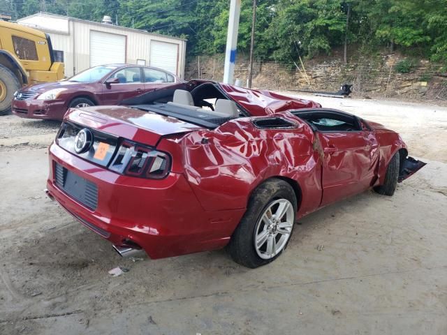 2013 Ford Mustang