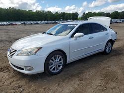 Salvage cars for sale at Conway, AR auction: 2011 Lexus ES 350