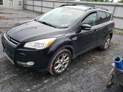Salvage cars for sale from Copart York Haven, PA: 2013 Ford Escape SEL