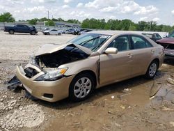 Salvage cars for sale at Louisville, KY auction: 2010 Toyota Camry Base