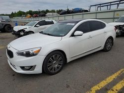 Salvage cars for sale at Pennsburg, PA auction: 2014 KIA Cadenza Premium