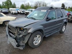 Salvage cars for sale at Portland, OR auction: 2003 Ford Escape XLT