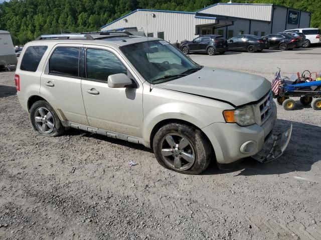 2009 Ford Escape Limited