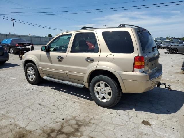 2007 Ford Escape XLT