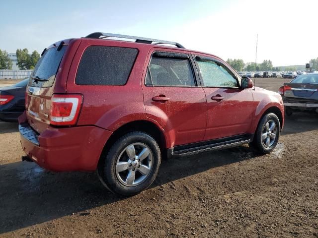 2010 Ford Escape Limited