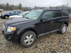 Ford Escape XLT Vehiculos salvage en venta: 2010 Ford Escape XLT