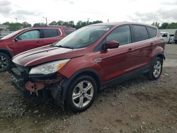 Salvage cars for sale from Copart Louisville, KY: 2016 Ford Escape SE