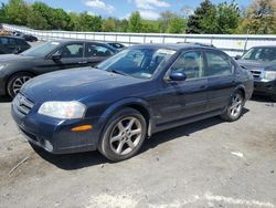 Salvage cars for sale at Grantville, PA auction: 2003 Nissan Maxima GLE