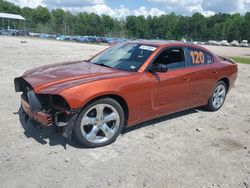 Salvage cars for sale at Charles City, VA auction: 2013 Dodge Charger SXT