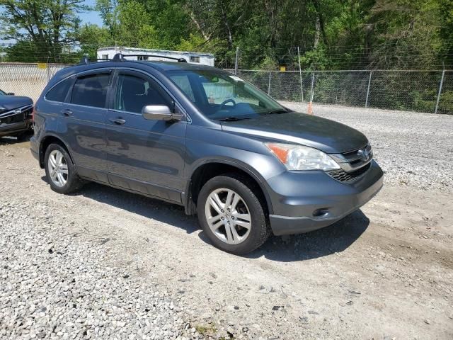 2010 Honda CR-V EXL