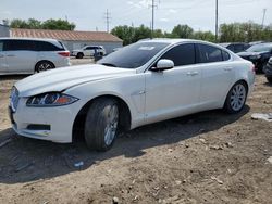 Salvage cars for sale at Columbus, OH auction: 2013 Jaguar XF