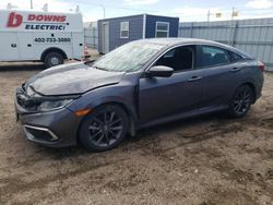 Salvage cars for sale from Copart Greenwood, NE: 2020 Honda Civic EX