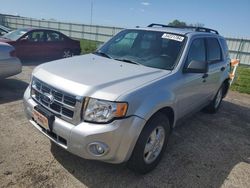 Salvage cars for sale at Mcfarland, WI auction: 2012 Ford Escape XLT