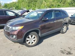 Salvage cars for sale from Copart Assonet, MA: 2013 KIA Sorento LX