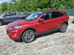 Ford Escape Vehiculos salvage en venta: 2020 Ford Escape SEL