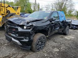 Salvage cars for sale from Copart Marlboro, NY: 2023 Chevrolet Colorado Z71