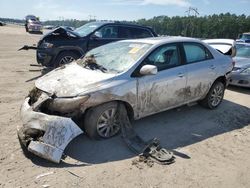 Salvage cars for sale at Greenwell Springs, LA auction: 2010 Toyota Corolla Base