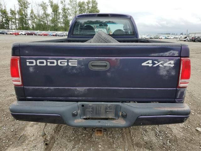 1999 Dodge Dakota