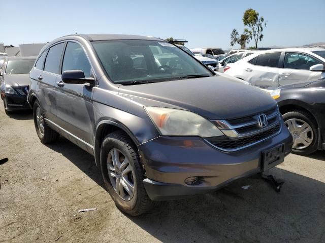 2010 Honda CR-V EXL