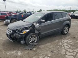 Salvage cars for sale at Indianapolis, IN auction: 2017 Ford Escape SE