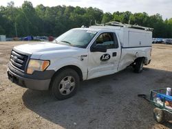 Salvage trucks for sale at Grenada, MS auction: 2010 Ford F150