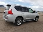 2010 Lexus GX 460