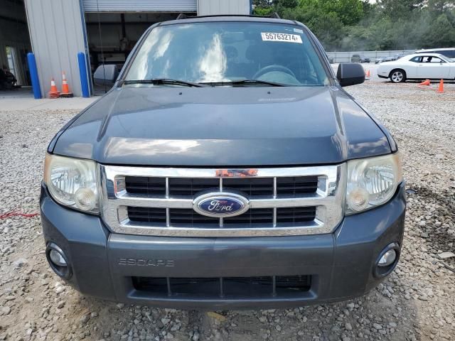 2008 Ford Escape XLT