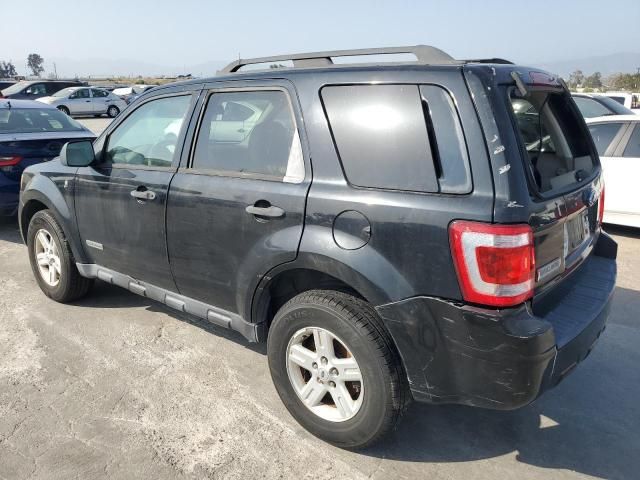 2008 Ford Escape HEV