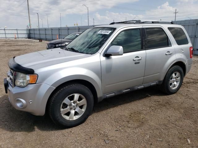 2010 Ford Escape Limited