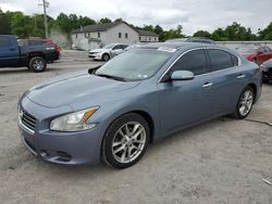 Salvage cars for sale at York Haven, PA auction: 2011 Nissan Maxima S