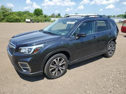 Subaru Forester salvage cars for sale: 2019 Subaru Forester Limited