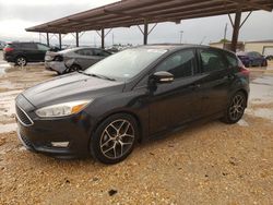 Vehiculos salvage en venta de Copart Temple, TX: 2015 Ford Focus SE