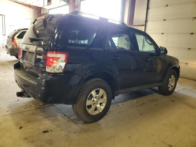 2010 Ford Escape Limited