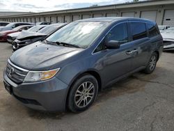 Salvage cars for sale from Copart Louisville, KY: 2011 Honda Odyssey EXL