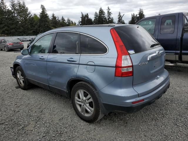 2010 Honda CR-V EXL