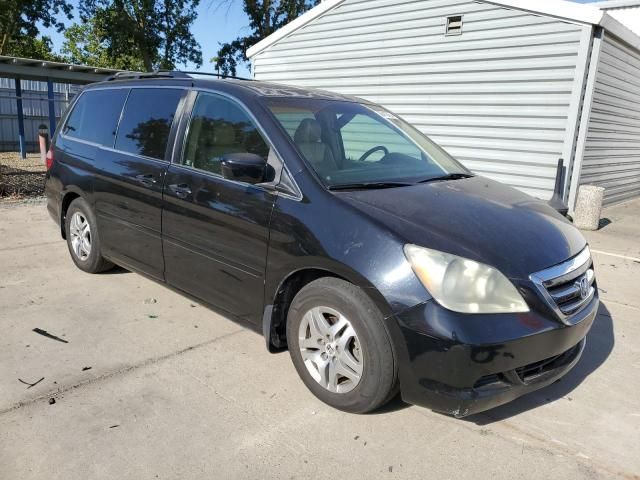 2005 Honda Odyssey EXL