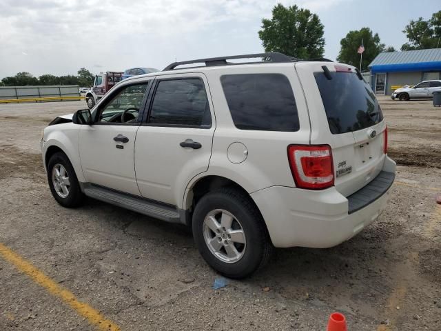 2010 Ford Escape XLT