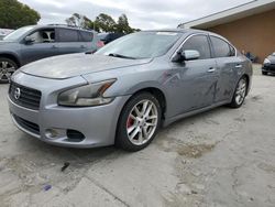 Salvage cars for sale at Hayward, CA auction: 2009 Nissan Maxima S