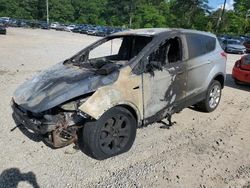 Salvage cars for sale at Gaston, SC auction: 2013 Ford Escape SEL