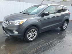 Salvage cars for sale from Copart Opa Locka, FL: 2019 Ford Escape SE