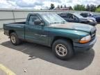 2000 Dodge Dakota