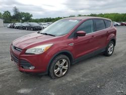 Salvage cars for sale at Grantville, PA auction: 2014 Ford Escape SE
