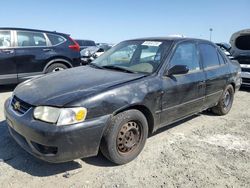 Salvage cars for sale at Antelope, CA auction: 2002 Toyota Corolla CE
