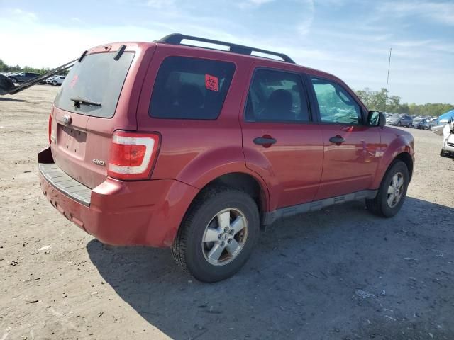 2009 Ford Escape XLT