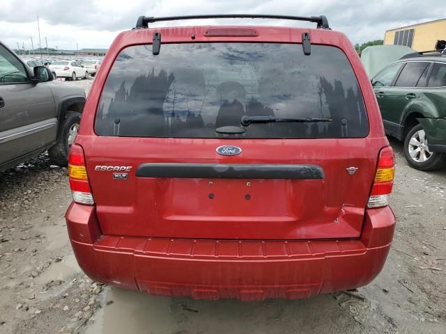 2007 Ford Escape XLT